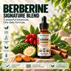 Berberine Complex with Ceylon Cinnamon, Bitter Melon, Turmeric & Chromium -1200mg - Liquid Herbal Supplement - Vegan, No Sugar, Non-GMO