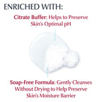 Buy now Eucerin Advanced Cleansing Body & Face Cleanser - Fragrance & Soap Free for Dry, Sensitive Skin - 16.9 fl. oz Bottle at indiglob india
