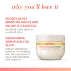 Buy now Burt's Bees Truly Glowing Night Cream Unisex 1.8 oz, White (I0115908) at indiglob india