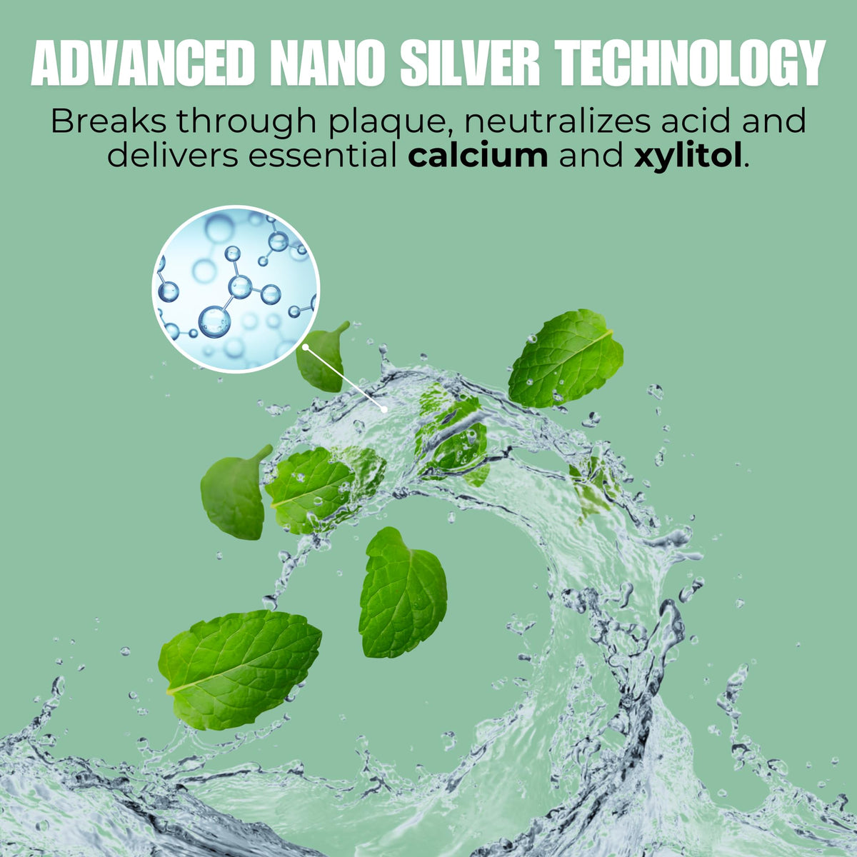 Elementa Silver Nano Silver Xylitol Mouth Wash Refill Pack | Mouth Rinse Oral Care 40 oz | Dentist Formulated, Alcohol and Fluoride Free (Winter Mint)