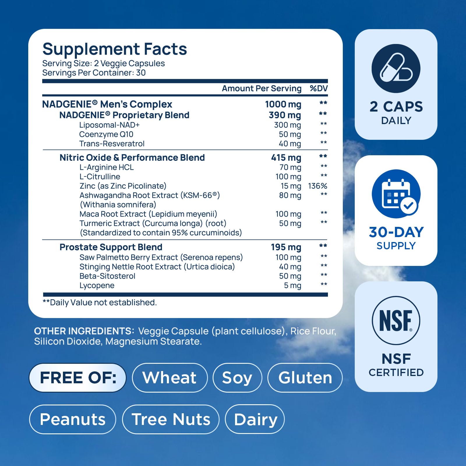 NAD Supplement for Men – Liposomal NAD+ NMN Alternative Nitric Oxide Prostate Health Supplements with Resveratrol, CoQ10, L Citrulline and Lycopene for Anti-Aging & Cellular Energy Support 60 Capsules