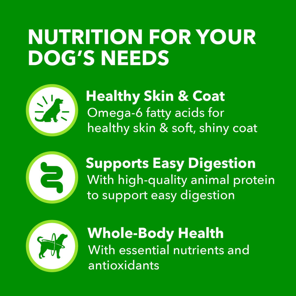 IAMS Proactive Health Senior Ground Wet Dog Food, Chicken, 13 oz, 12 Pack