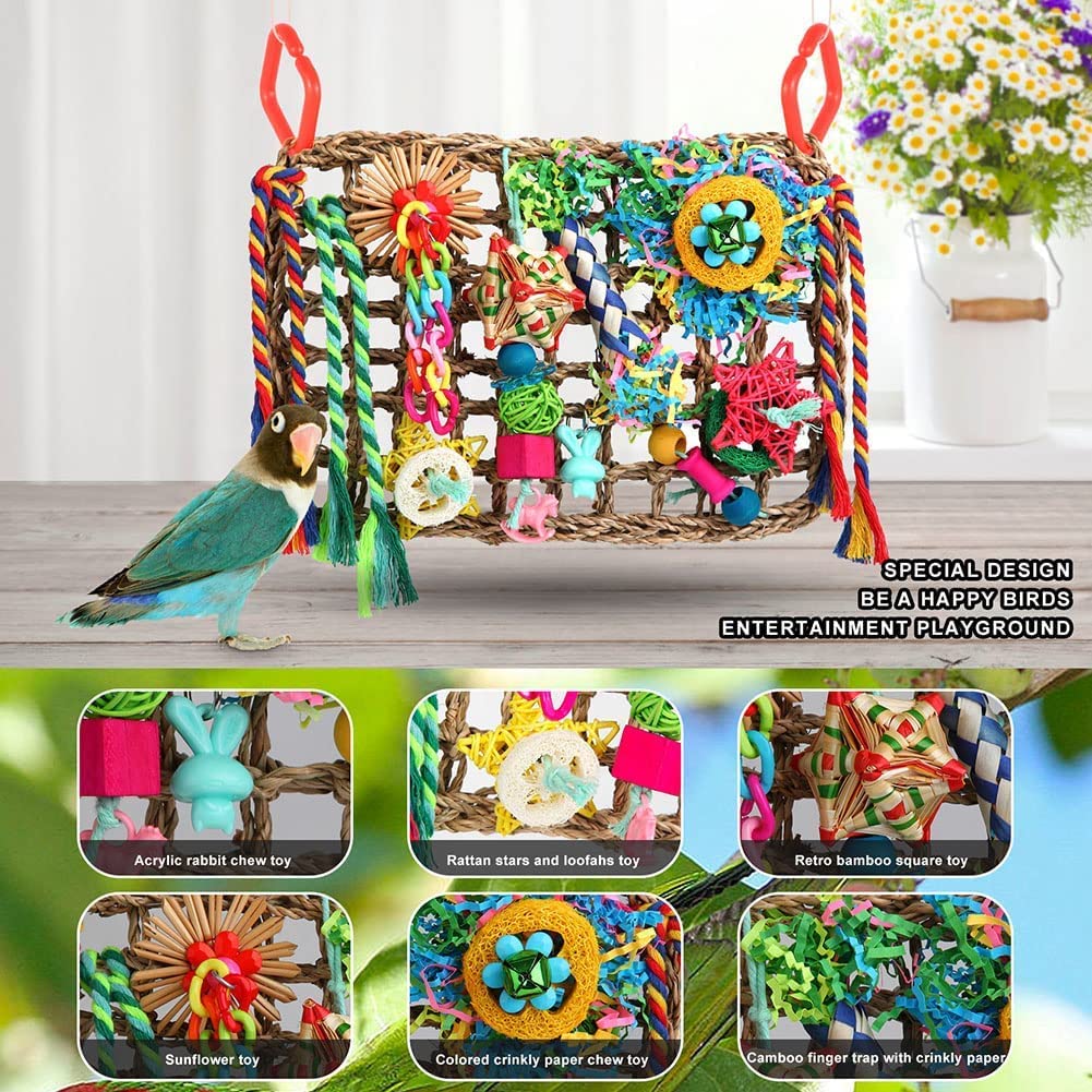 Foraging Toys for Parakeets Cockatiel Conures Lovebirds - Seagrass Wall with Various Bird Toys