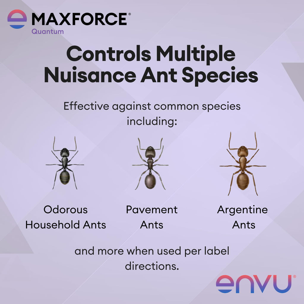 Maxforce Quantum Ant Bait 120 gram Tube | Ant Gel for Indoor and Outdoor Use | Ant Bait for Ant Colony Control | Effective Against Many Nuisance Ant Species