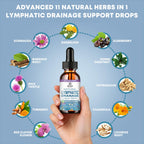 Lymphatic Drainage Support Drops – Advanced 11-in-1 Herbal Extract Formula with Echinacea, Dandelion, Elderberry & Milk Thistle – Multi-Herb Liquid for Fluid Balance & Healthy Circulation – 1 Fl Oz