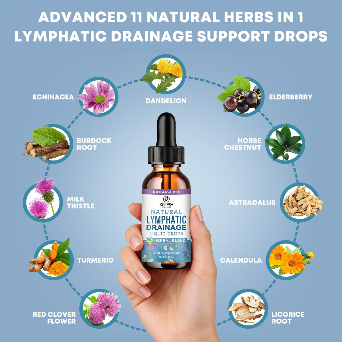 Lymphatic Drainage Support Drops – Advanced 11-in-1 Herbal Extract Formula with Echinacea, Dandelion, Elderberry & Milk Thistle – Multi-Herb Liquid for Fluid Balance & Healthy Circulation – 1 Fl Oz
