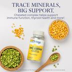 SOLARAY Zinc Copper Amino Acid Chelate, 100 VegCaps | Immune, Bone & Thyroid Support, Chelated Zinc, Copper & Iodine from Kelp, 100 Servings, Lab Verified