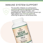 Reishi 1,000mg 4:1 Extract, Immune, Stress + Sleep Support, 300 Capsules