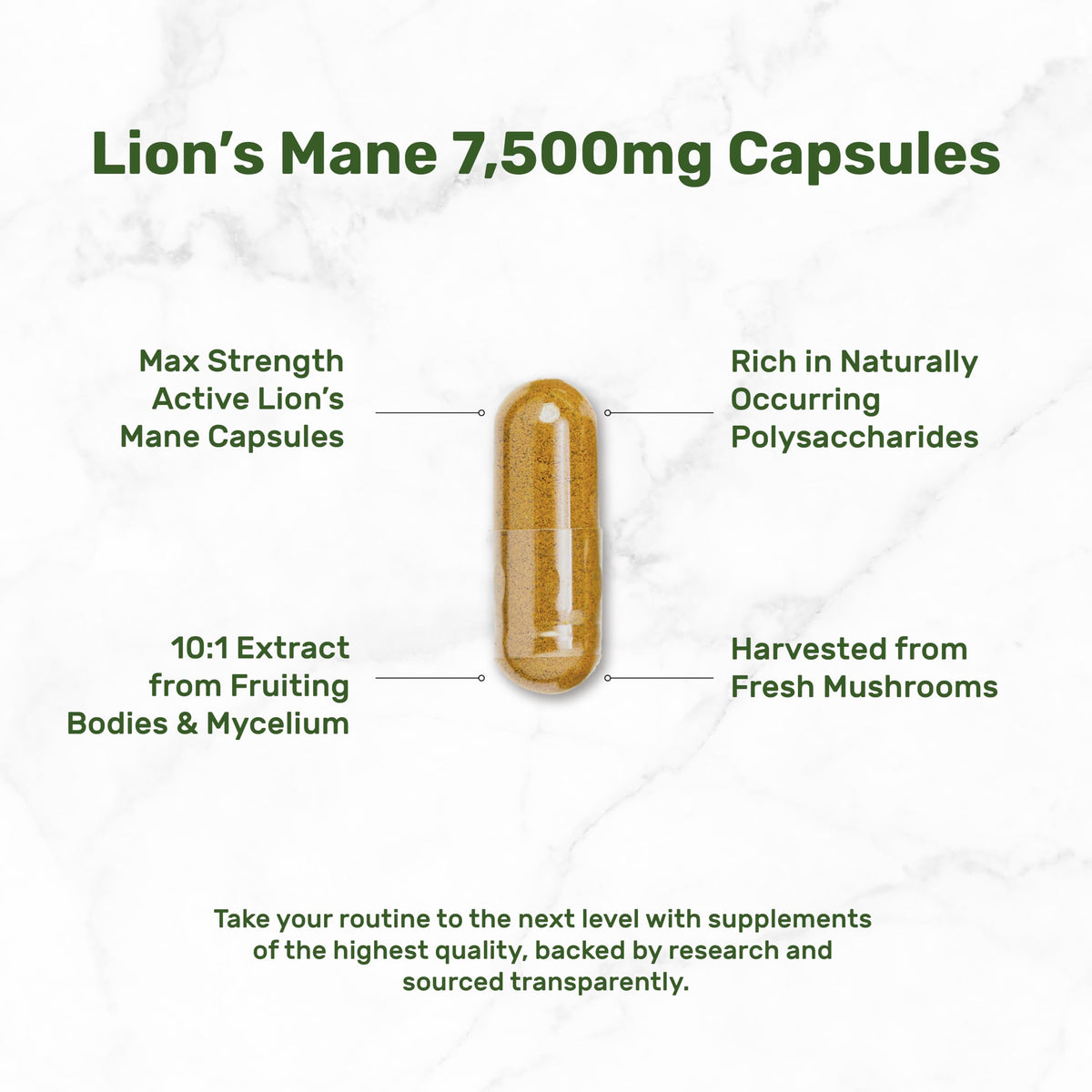 Lions Mane Mushroom Supplement, 240* Capsules – Active Fruiting Body & Mycelium Extract – Natural Brain Nootropic & Immune System Booster – Non-GMO