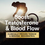 Buy now GNC Mega Men Healthy Testosterone Program, Complete Nutrition 4 Products in 1, Boost Free and Total Testosterone, Blood Flow, 30 Daily Packs at indiglob india