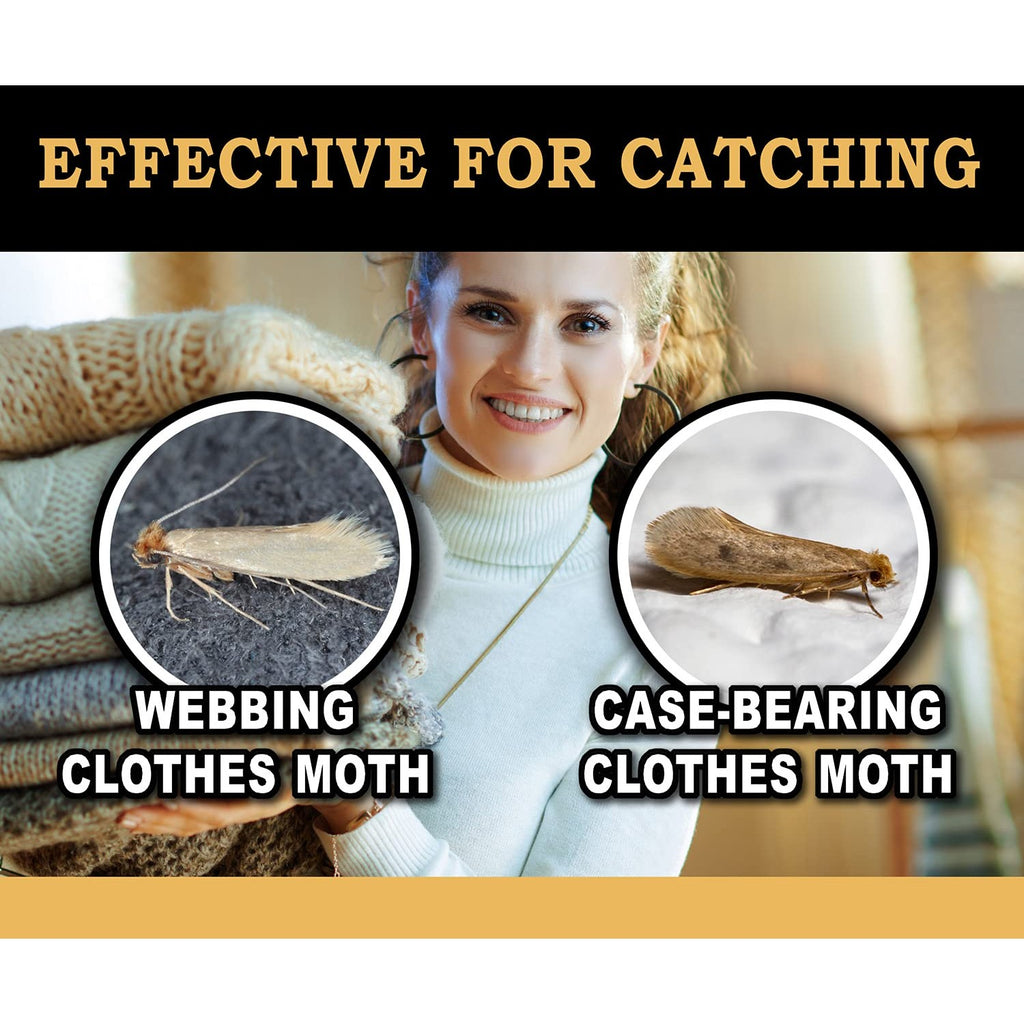 MaxGuard Clothes Moth Traps (6+2 Free Traps) with Extra Strength Pheromones | Non-Toxic Sticky Glue Trap for Closets and Carpet Moths | No Mothballs | Lure, Trap and Kill Case-Bearing Webbing Moths |
