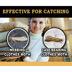 MaxGuard Clothes Moth Traps (6+2 Free Traps) with Extra Strength Pheromones | Non-Toxic Sticky Glue Trap for Closets and Carpet Moths | No Mothballs | Lure, Trap and Kill Case-Bearing Webbing Moths |