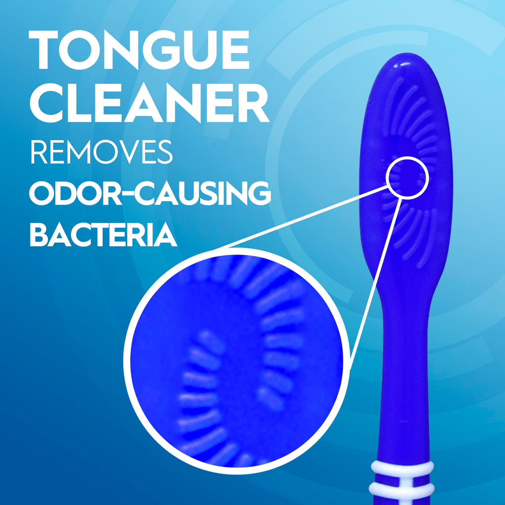 Oral-B Toothbrush Dual Clean, Medium, 6 Count