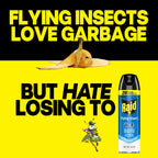 Raid Flying Insect Killer, Bug Spray for Indoor & Outdoor Use, 18 oz