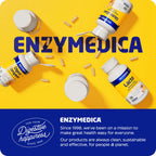 Enzymedica Berberine Phytosome High Absorption Supplement - 60 Caps