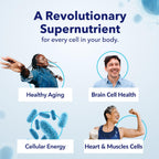 TRU NIAGEN NAD+ Supplement, Nicotinamide Riboside 1000mg, 30 Daily Servings | High-potency NAD+ support: 1000mg Niagen NR daily from two 500mg capsules, supports cellular energy and healthy aging.