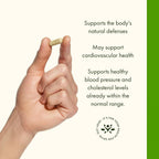 Buy now Swanson Olive Leaf Extract Capsules with 20% Oleuropein - Provides Immune Support, Promotes Cardiovascular System Health, and Supports Healthy Blood Pressure - (120 Capsules, 500mg Each) at indiglob india