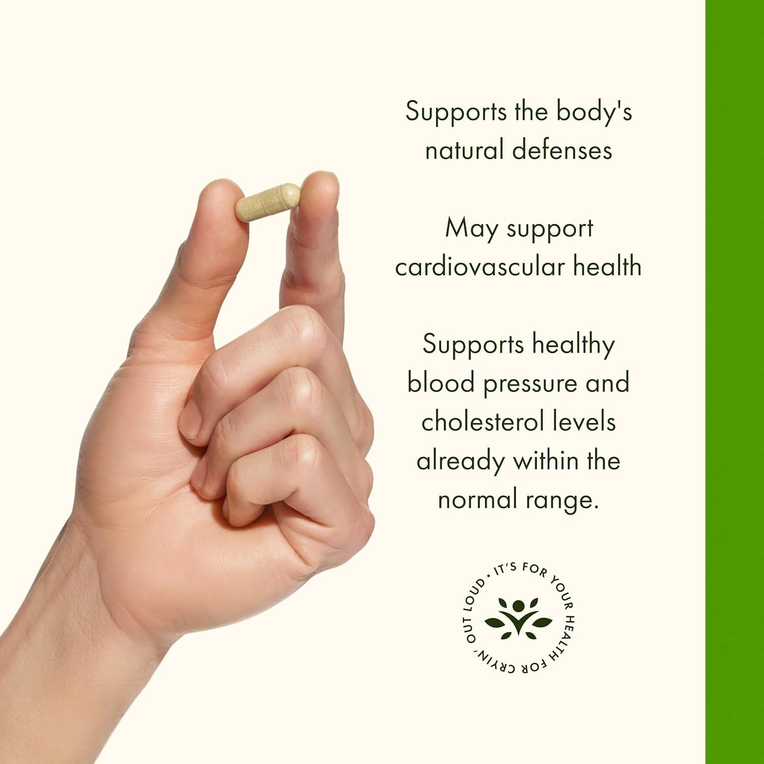 Buy now Swanson Olive Leaf Extract Capsules with 20% Oleuropein - Provides Immune Support, Promotes Cardiovascular System Health, and Supports Healthy Blood Pressure - (120 Capsules, 500mg Each) at indiglob india