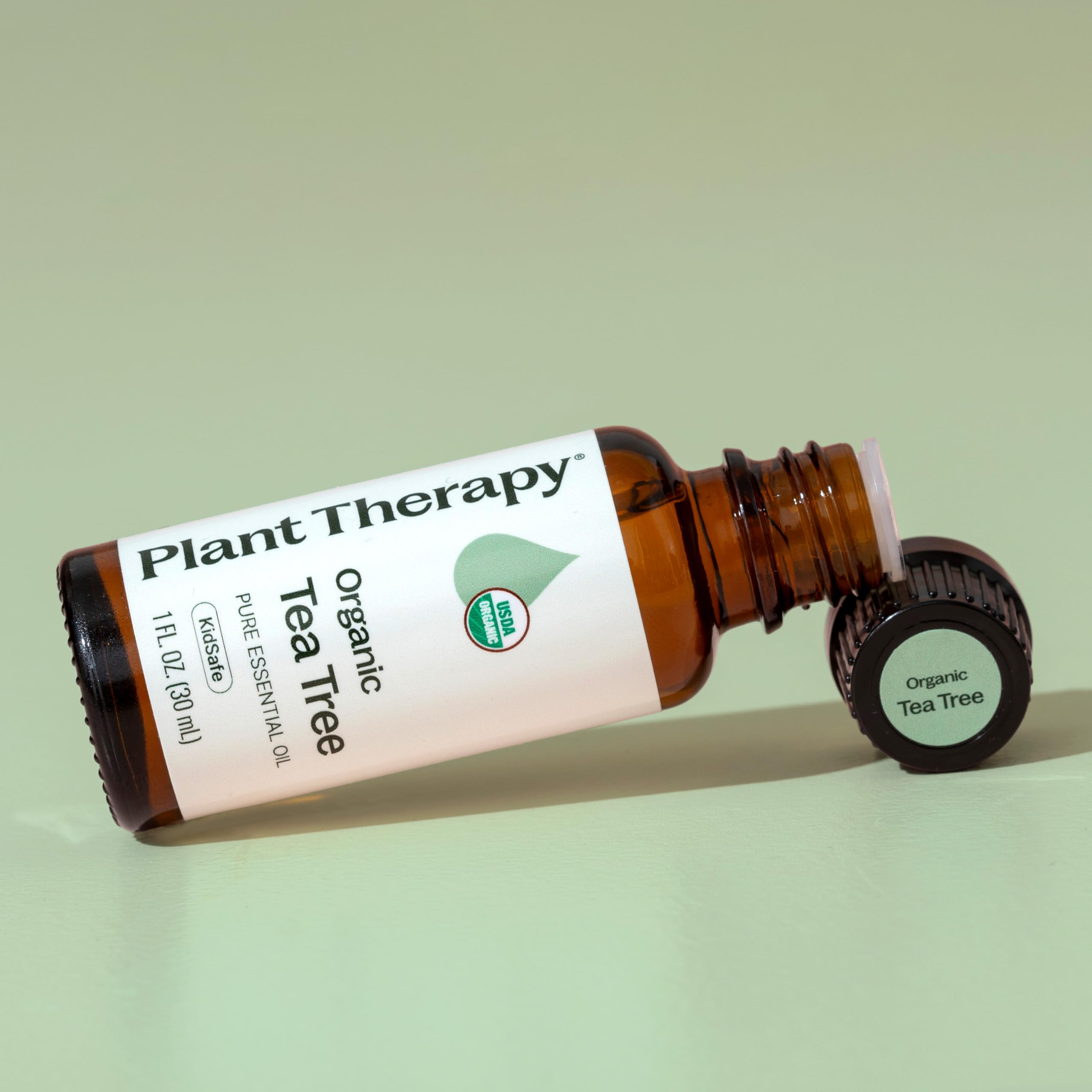 Buy now Plant Therapy Organic Tea Tree Oil (Melaleuca) 100% Pure, USDA Certified Organic, Undiluted, Natural Aromatherapy, Therapeutic Grade 30 mL (1 oz) at indiglob india