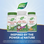 Nature's Way Extra Strength (1) DGL Ultra - DGL Chewable Tablets for Digestive Support* - Deglycyrrhizinated Licorice GutGard Extract - 75mg per Serving - Chocolate Flavored - 90 Count (90 Servings)