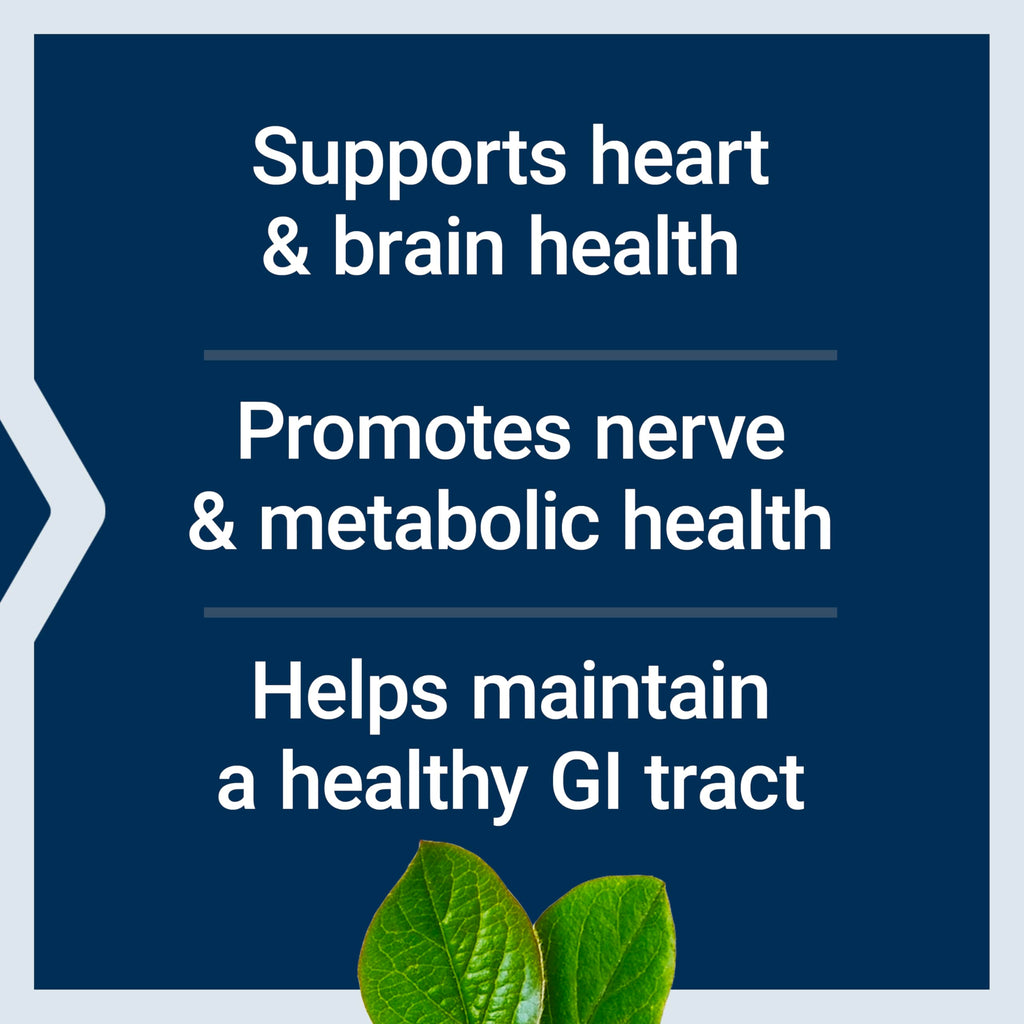 Life Extension BioActive Folate & Vitamin B12, Promotes Heart, Brain & GI Tract Health, Non-GMO, Gluten-Free, Vegetarian, 90 Capsules | BioActive Folate & Vitamin B12 Promotes Heart, Brain & GI Tract Health, Non-GMO, Gluten-Free & Vegetarian