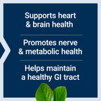 Life Extension BioActive Folate & Vitamin B12, Promotes Heart, Brain & GI Tract Health, Non-GMO, Gluten-Free, Vegetarian, 90 Capsules | BioActive Folate & Vitamin B12 Promotes Heart, Brain & GI Tract Health, Non-GMO, Gluten-Free & Vegetarian