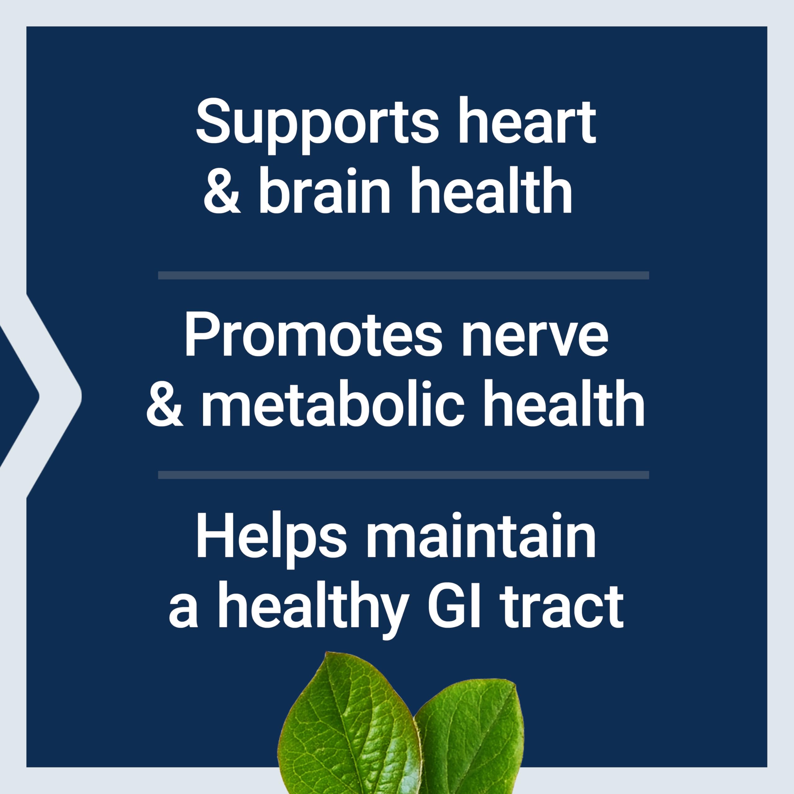 Life Extension BioActive Folate & Vitamin B12, Promotes Heart, Brain & GI Tract Health, Non-GMO, Gluten-Free, Vegetarian, 90 Capsules | BioActive Folate & Vitamin B12 Promotes Heart, Brain & GI Tract Health, Non-GMO, Gluten-Free & Vegetarian