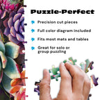 Buy now Buffalo Games - Simple Succulent - James Mertke - 1000 Piece Jigsaw Puzzle for Adults - Challenging Puzzle for Game Nights - Vibrant Plant Artwork - Finished Size 26.75 x 19.75 - Made in the USA at indiglob india