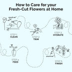 FloraLife Fresh-Cut Flower Food - Multi-Nutrient & Hydration 25 Packets