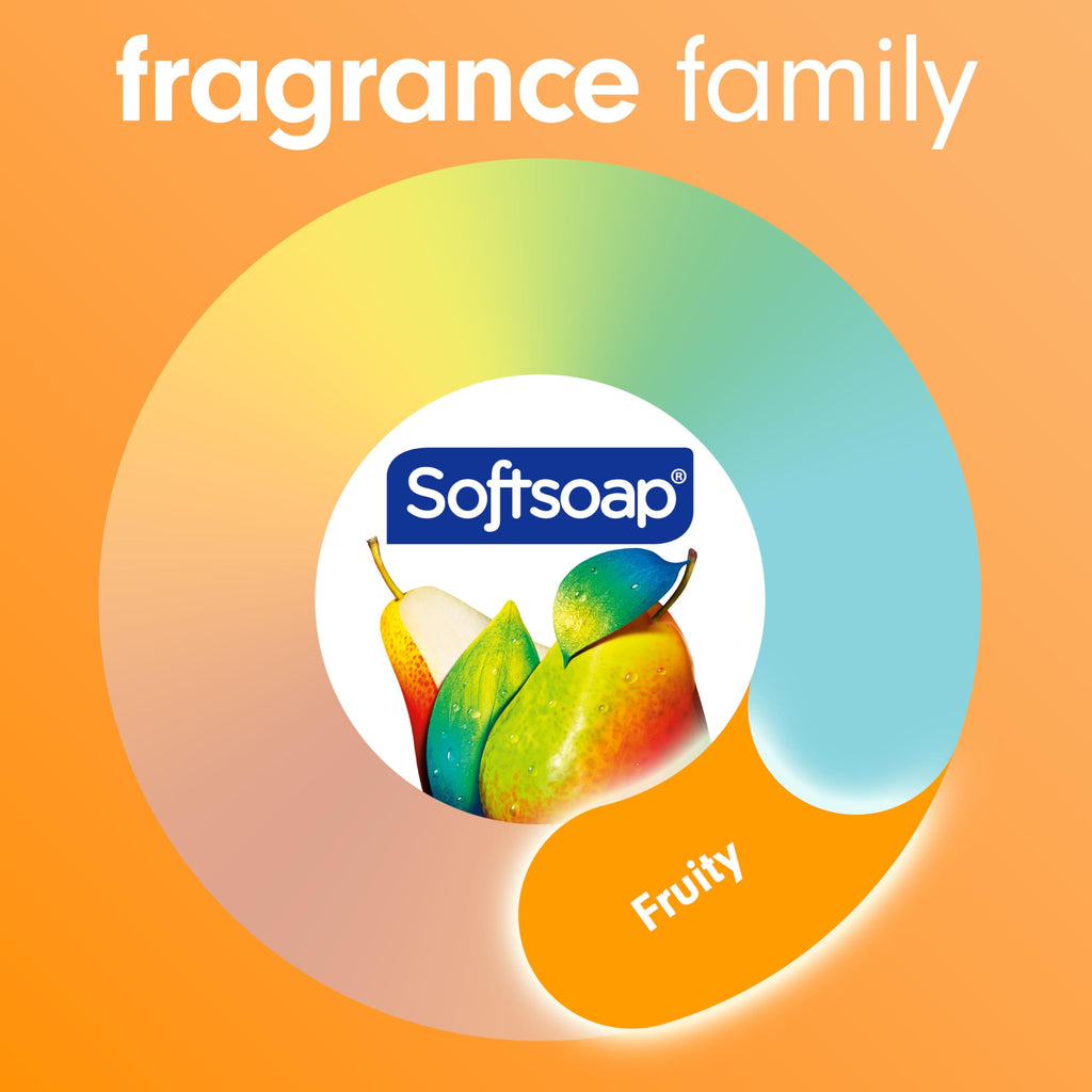 Buy now Softsoap Antibacterial Liquid Hand Soap, Crisp Clean Scent, 11.25 Ounce, 6 Pack at indiglob india