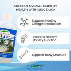 Eidon Ionic Minerals - Liquid Silica Mineral Concentrate - 18 oz | Silica Supplement for Hair, Skin & Nails, Drops to Support Collagen Production & Hair Loss for Women & Men, Manage Calcium