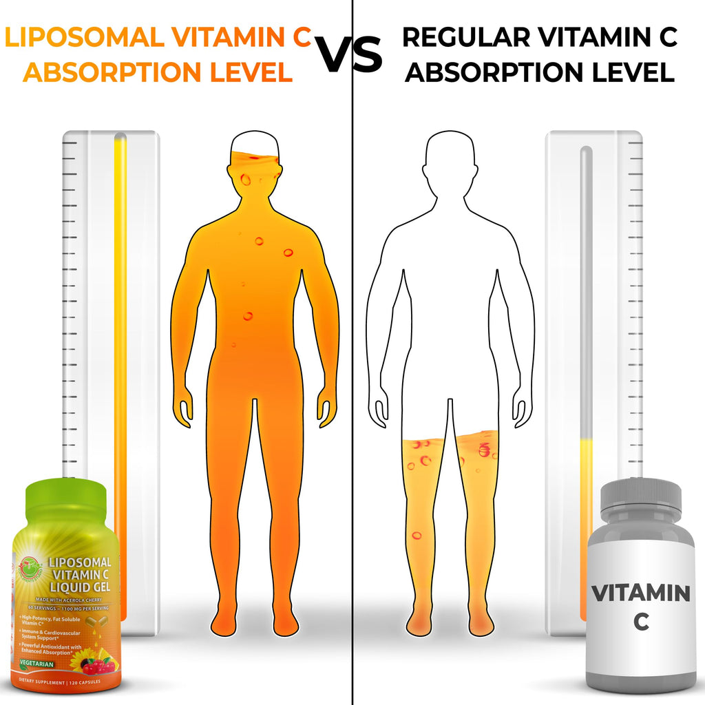 Liposomal Vitamin C Liquid Gel Capsules 1100mg - Made with Organic Acerola | Vitamin C Capsules for Immune Support - High Potency, Enhanced Absorption & Bioavailability, Daily Antioxidant Support, 120ct
