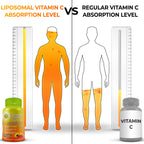 Liposomal Vitamin C Liquid Gel Capsules 1100mg - Made with Organic Acerola | Vitamin C Capsules for Immune Support - High Potency, Enhanced Absorption & Bioavailability, Daily Antioxidant Support, 120ct