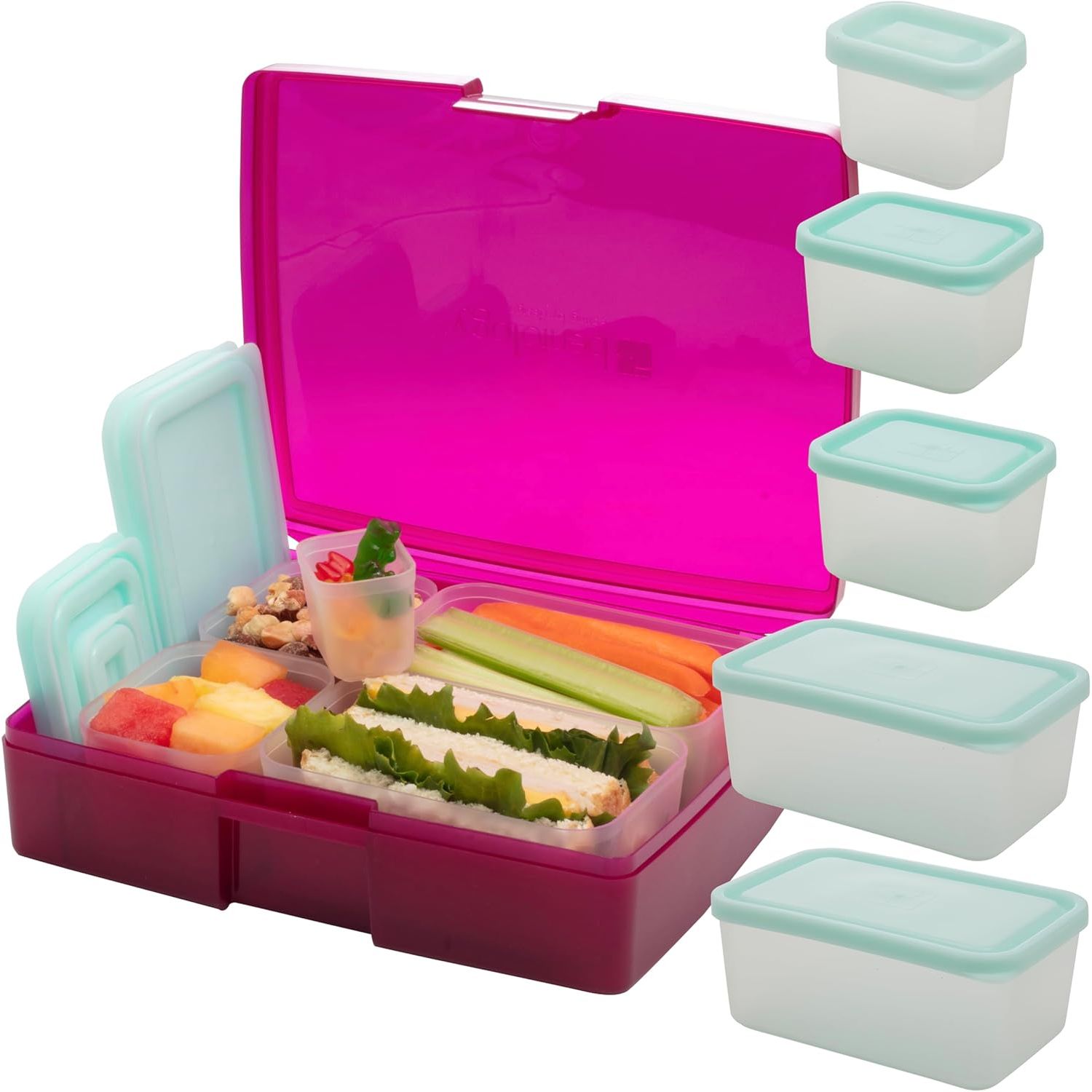 Buy now BentologyTM Clear Bento Lunch Box Set w 5 Removable Nesting Containers- Adapt Inner Compartment Portion Sizes- Meal Prep Snack Holders for Back to School, Leakproof Durable & BPA Free- Dishwasher Safe Raspberry at indiglob india