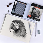 Brusarth Professional Sketch Graphite Pencils for Drawing Set,17 Pcs
