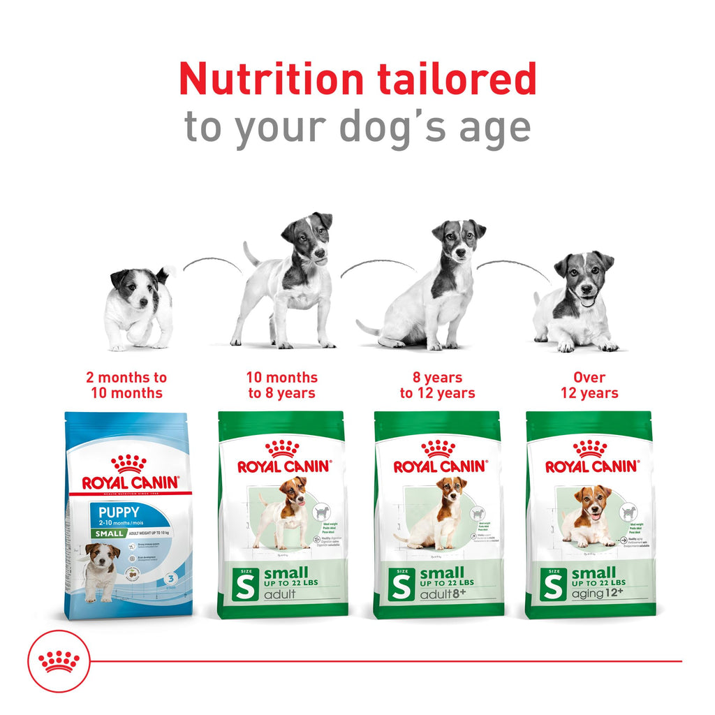 Royal Canin Size Health Nutrition Small Adult Dry Dog Food, 30 lb Bag