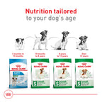 Royal Canin Size Health Nutrition Small Adult Dry Dog Food, 30 lb Bag