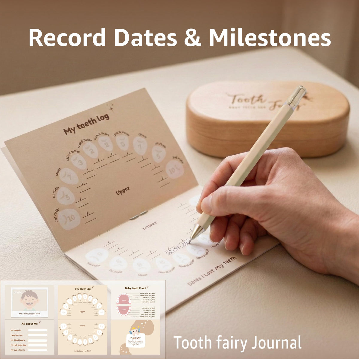 Tooth Fairy Tooth Holder, Baby Teeth Keepsake Box, Unisex
