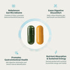 Snap Supplements Gut Health Supplement & Organic Spirulina Chlorella Bundle | Lipase Supplement, Probiotic Greens–Supports Digestion, Detox, Energy & Immune Health, 50 + 120 Vegan Capsules 30-Day Supply