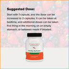 Motility Activator by Dr. Rajsree, MD | Digestive Support for Gas, Bloating & Occasional Constipation | Promotes Small Intestine Movement | Ginger & Artichoke Extract | 60 Capsules