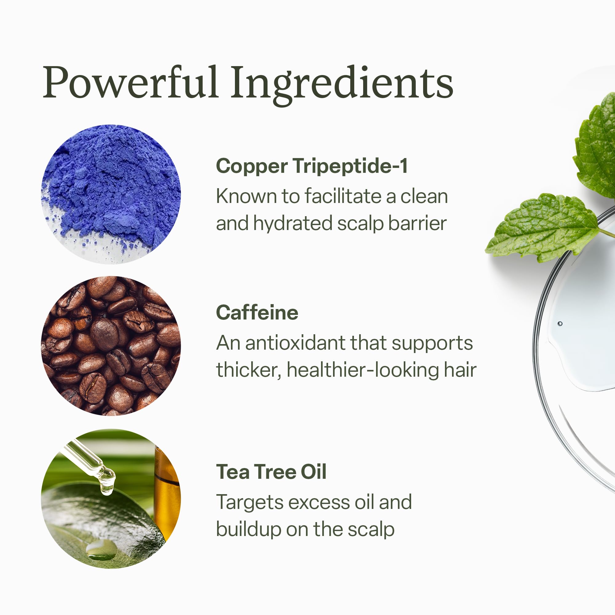 Divi Scalp Serum | To Promote Fuller-Looking Hair with Peptides | 30ml | Multi-Peptide Complex, Caffeine, Rosemary Oil, Vegan, Non-Greasy, Thinning Hair, Fuller-Looking Hair, Scalp Serum, 30ml