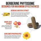 SoActive Berberine 550mg: 9.6X Higher Absorption, Clinically Studied