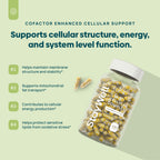 C15:0 Pentadecanoic Acid Supplement | Longevity, Cellular & Membrane Support, Micro-Granule Enhanced Absorption, Phosphatidylcholine, L-Carnitine, Ubiquinol CoQ10 & Tocotrienols – 120ct