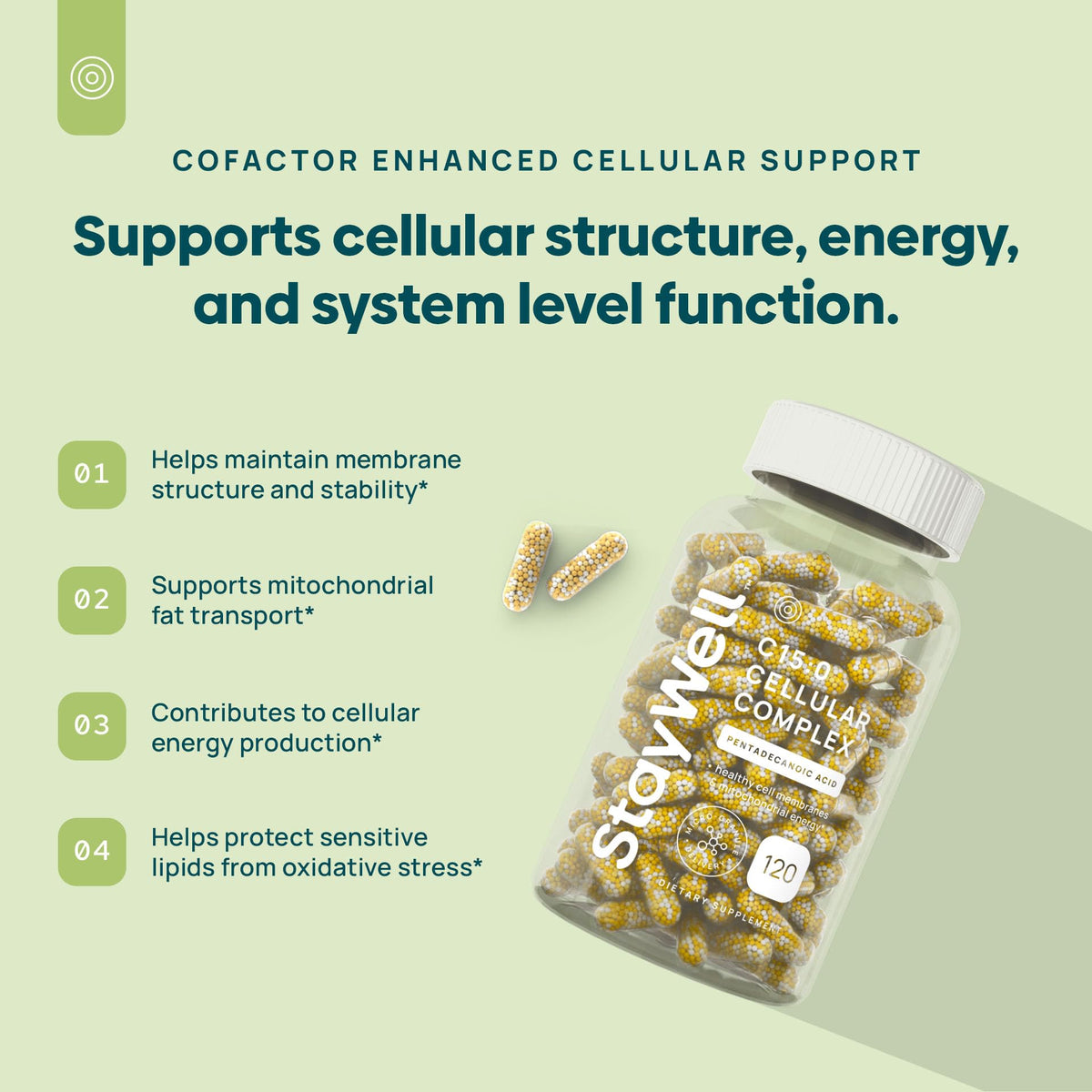 C15:0 Pentadecanoic Acid Supplement | Longevity, Cellular & Membrane Support, Micro-Granule Enhanced Absorption, Phosphatidylcholine, L-Carnitine, Ubiquinol CoQ10 & Tocotrienols – 120ct