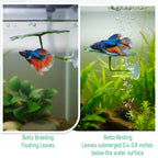 3 Pcs Betta Fish Leaf Hammock, Betta Fish Practical Resting Spot Bettas Suction Cup Tank Decor Green Hammock Plant Leaf Pad Fishes Breeding Resting Bed for Fishes Aquarium Decoration Ornaments