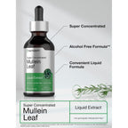 Horbäach Mullein Leaf Extract Drops | 2 fl oz