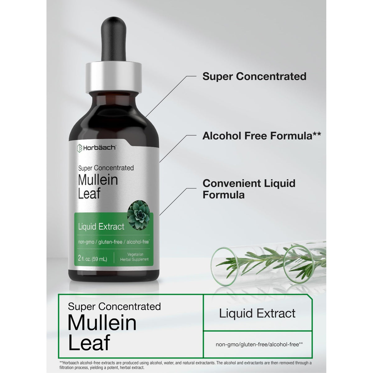 Horbäach Mullein Leaf Extract Drops | 2 fl oz