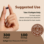 Micro Ingredients Ceylon Cinnamon, 300 Softgels | Cinnamon Supplements with MCT Oil | Non-GMO, Gluten Free