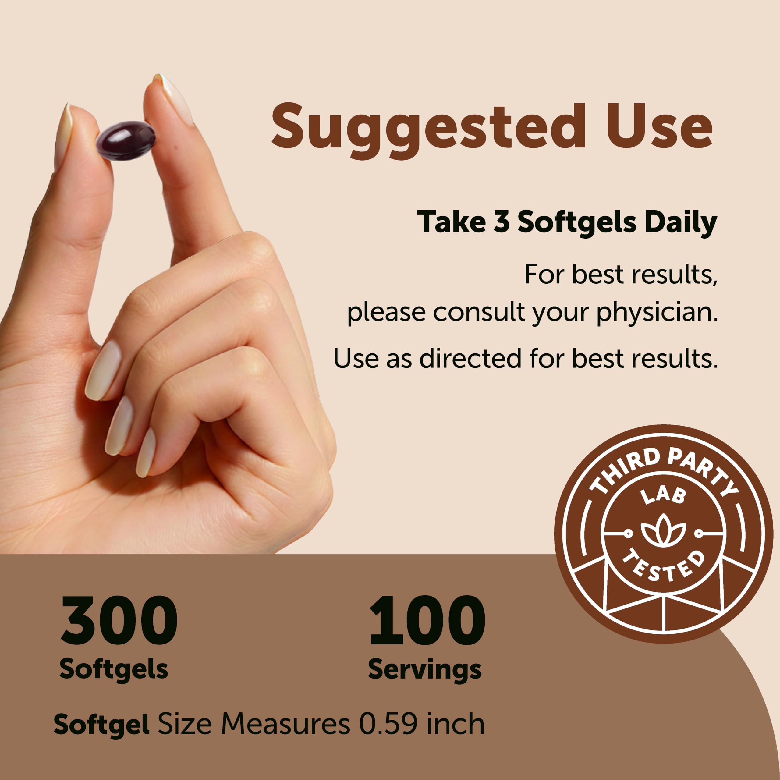 Micro Ingredients Ceylon Cinnamon, 300 Softgels | Cinnamon Supplements with MCT Oil | Non-GMO, Gluten Free