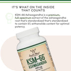 KSM-66 Ashwagandha 600mg, Organic, Sleep + Stress Support, 120 Capsules | Sleep + Stress Supplement, Full-Spectrum KSM-66, Most-Studied Form, Organic, Take PM or Split AM/PM, Gluten-Free